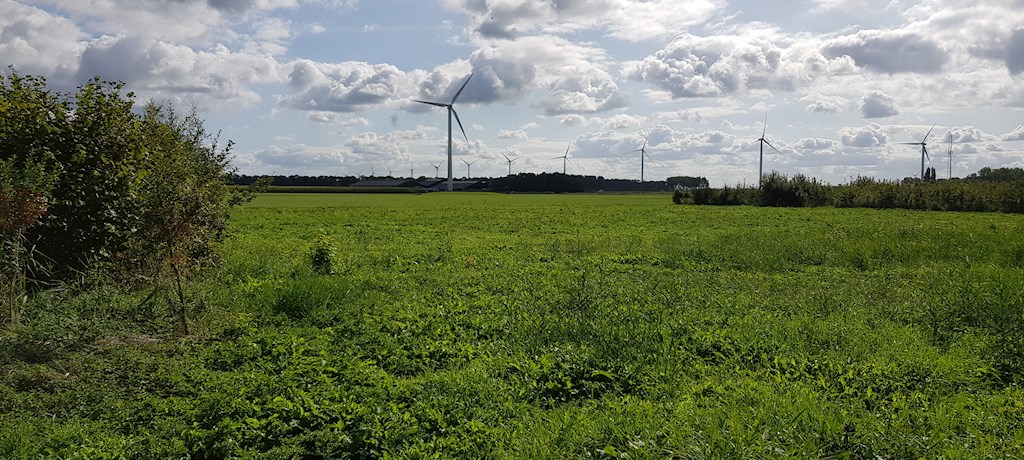 Achtergrond windpark Bosruitertocht