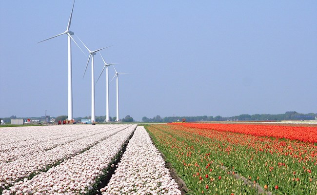 Bedrijven kiezen voor vergroenen van elektriciteit door middel van zonnepanelen of windmolens die hier te zien zijn