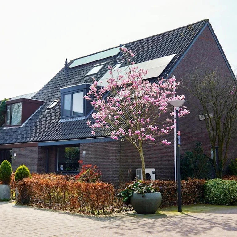 projectontwikkelaars
