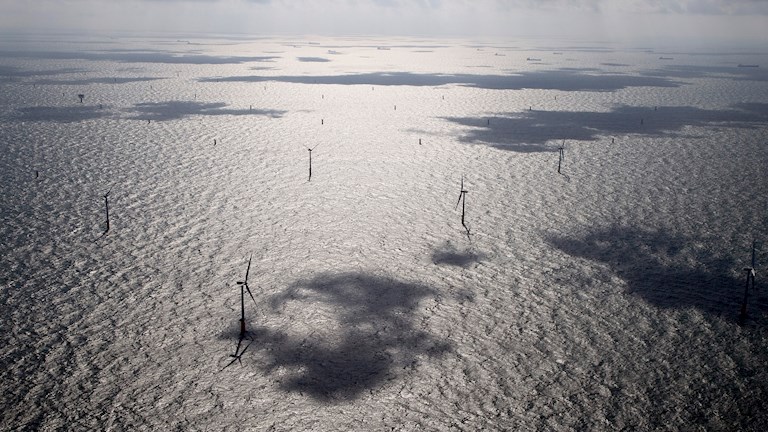 Windpark op zee met schaduw van wolken op het water