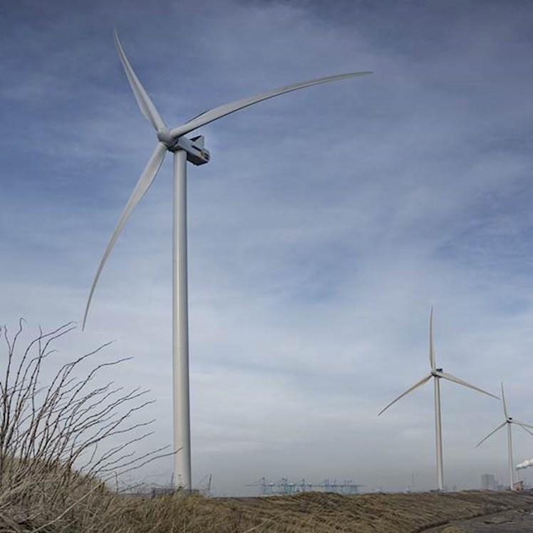 De windturbines bij De Slufter zijn gebouwd bovenop een dam bij een slibdepot en leveren sinds 2002 duurzame energie | Eneco