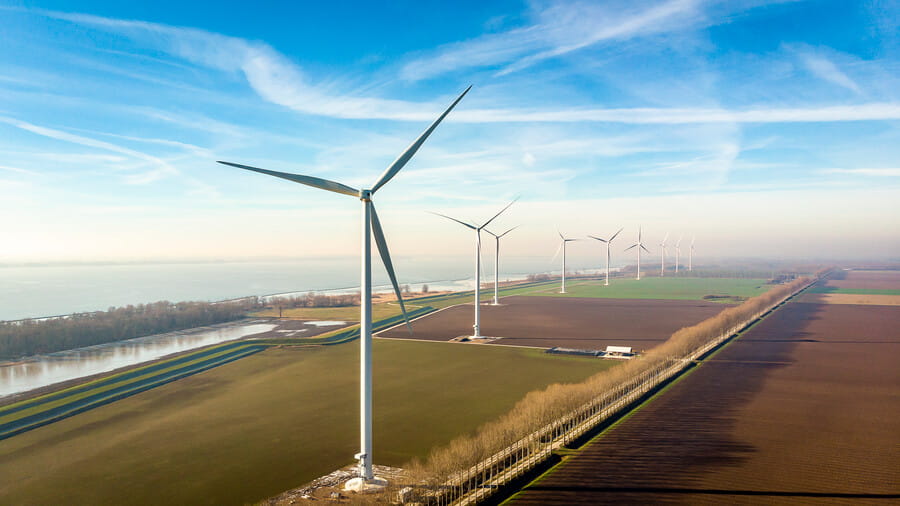 vleugel kin Stamboom Onderzoek: wat vindt zakelijk Nederland van groene stroom? | Duurzame  inspiratie | Eneco