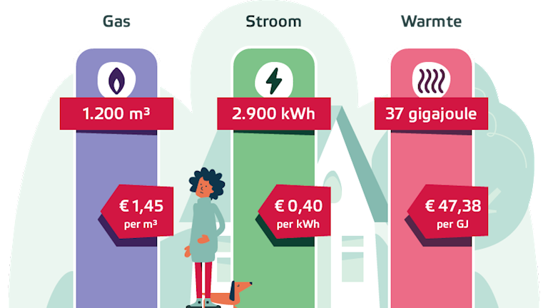 Wat is het prijsplafond, Eneco legt uit